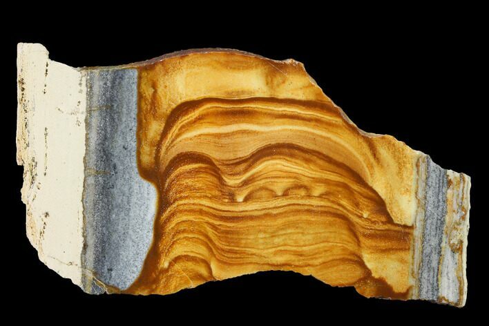 Polished Golden Picture Jasper Slab - Nevada #144962